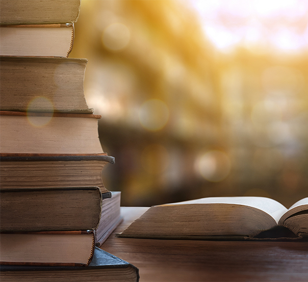 professional writer service