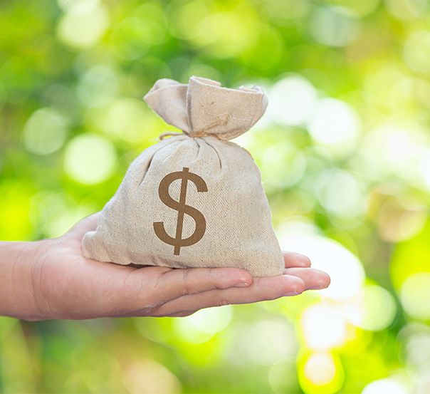 professional writer service